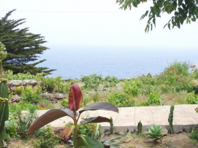 dammusi